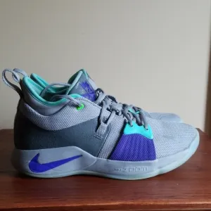 Nike PG 2 Paul George Pure Platinum Sz 8.5
